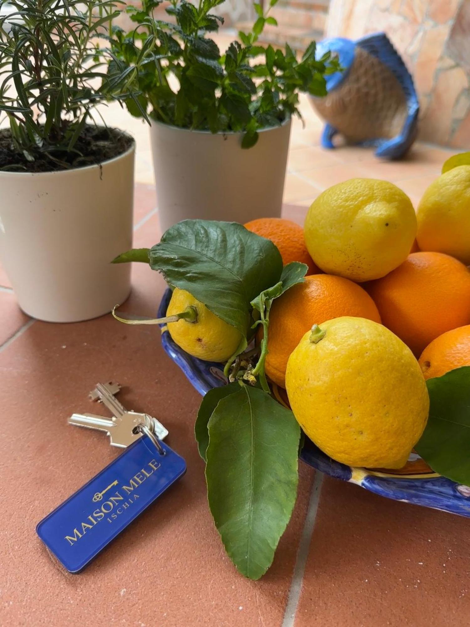 Maison Mele Ischia Eksteriør billede